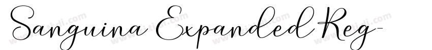Sanguina ExpandedReg字体转换